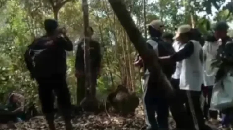 Sahabat Alam: Dari Hutan, Kita Belajar Keseimbangan