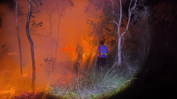 Kebakaran Lahan Berulang di PLTU Air Anyir, Satpol PP Bangka: Diduga Sengaja
