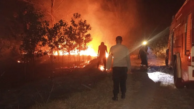Perharinya, Damkar Bangka Terima Laporan 5 hingga 10 Karhutla