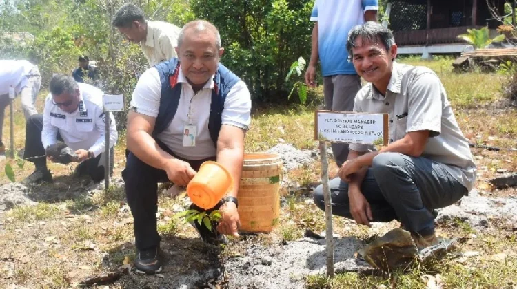 900 Pohon Ditanam di Tebat Rasau, Upaya Pelestarian Lingkungan di Beltim
