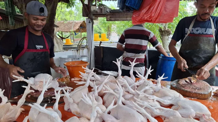 IPH Bangka Tengah Alami Kenaikan imbas Lonjakan Harga Ayam
