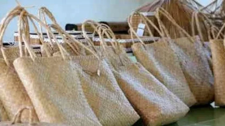 Lidi Nipah, Olahan Ikan, dan Lada Putih Jadi Andalan Ekspor Bangka Tengah