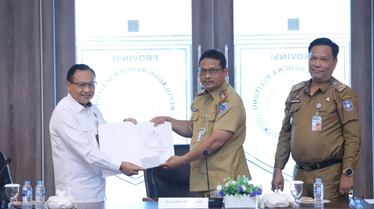 BPK Periksa 3 Sektor di Babel: BOS Sekolah, RSUD, dan Ketahanan Energi
