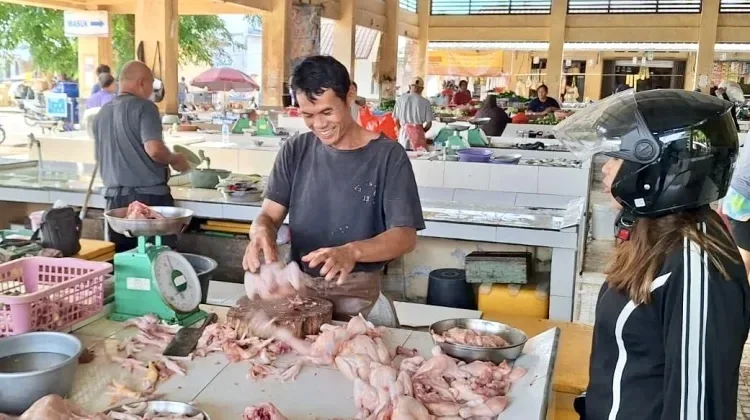 Harga Ayam di Babel Melonjak Dipicu HPP