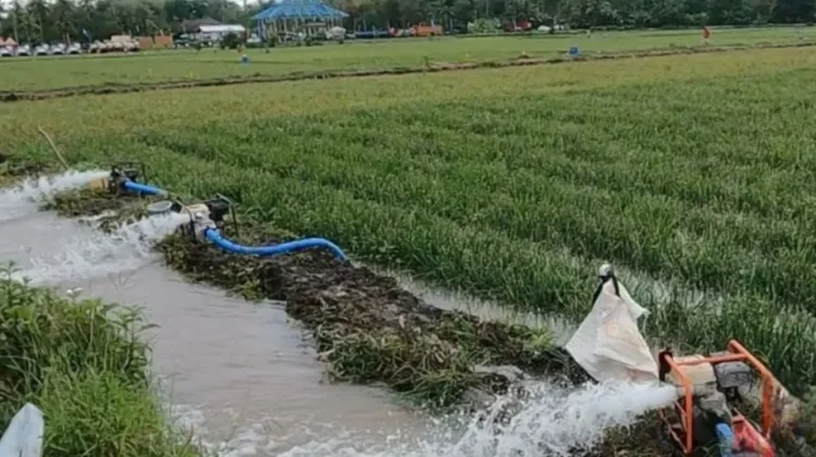 10 Unit Pompa Air Disalurkan ke Petani Bangka Antisipasi Kemarau