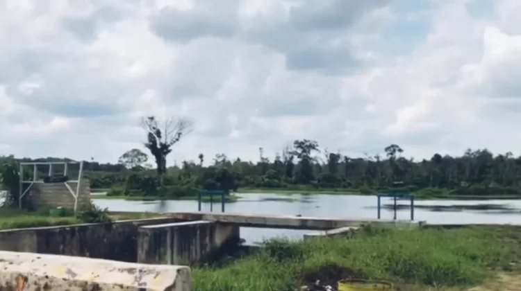 Tujuh Embung Long Storage dibangun untuk Irigasi Musim Kemarau