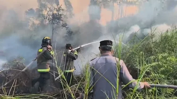 Hampir 27 Hektare Lahan Terbakar di Selindung Lama
