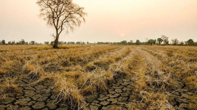 BMKG Babel Ingatkan Potensi Kekeringan Meteorologis
