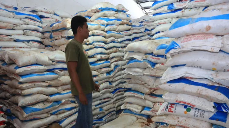 Pupuk Subsidi Capai Serapan 94 Persen di Kabupaten Bangka