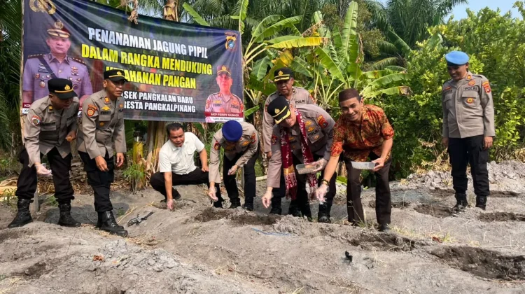 Perkuat Ketahanan Pangan, Kapolresta Tanam Bibit Jagung di Polsek Pangkalan Baru