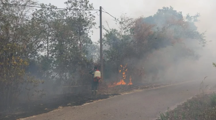 DLH Beltim Siapkan Uji Kualitas Udara Dampak Kabut Asap