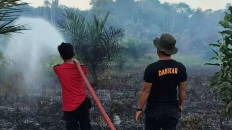 Hotspot Babel Tembus 100 Titik, BMKG: Bangka Tengah & Selatan Paling Banyak