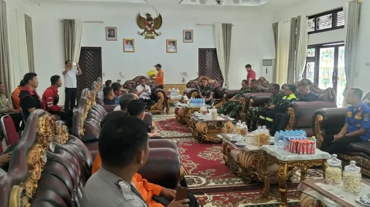 700 Hektare Lahan di Bangka Terbakar, TNI Turun Bantu Cegah Karhutla