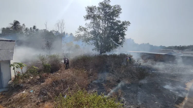 Ratusan Titik Karhutla Terdeteksi di Bangka