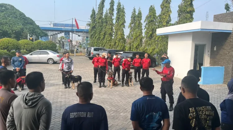 Polda Babel Kenalkan Empat K9 untuk Perkuat Pengamanan Kawasan Pelabuhan