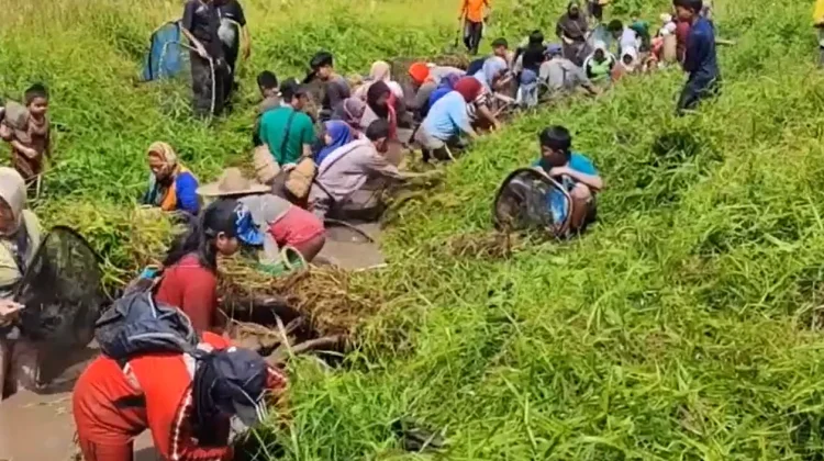 Serunya Nanggok di Musim Kemarau, Warga Bangka Berburu Ikan di Sungai