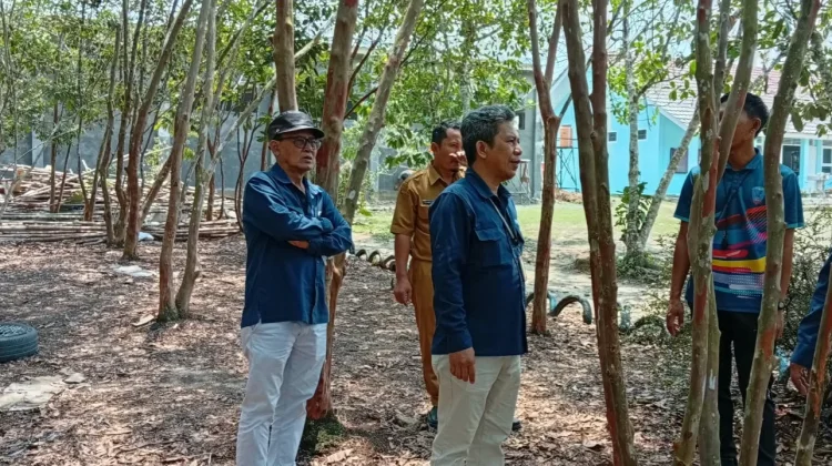 SMK Negeri 1 Bakam Lestarikan Pohon Pelawan di Tengah Sekolah