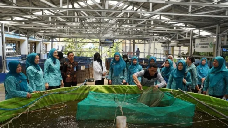 Kader PKK Air Mawar Belajar Olah Rumput Laut Jadi Minuman Jelly di SMKN 4