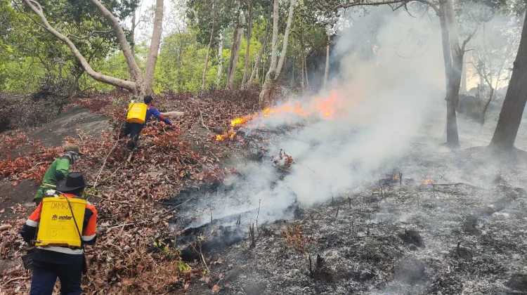 Kebakaran Lahan Gang Betung 1 Diduga Berawal dari Pembakaran Lahan