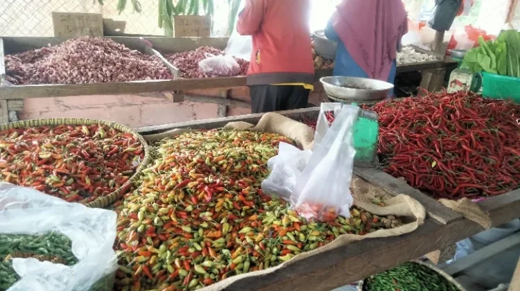 Musim Kemarau, Harga Cabai di Pasar Higienis Belum Turun