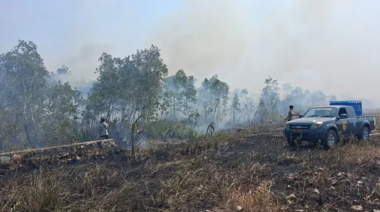 Karhutla Bangka Meluas, Ratusan Titik Api Bakar 688,7 Hektare