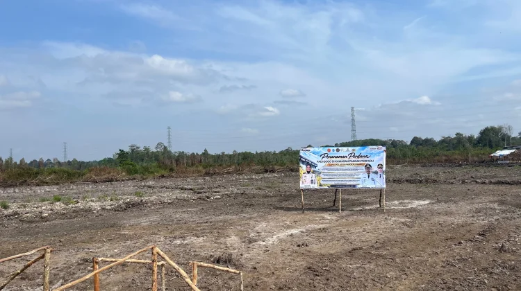 Pemkot Pangkalpinang Apresiasi Penanaman Padi Gogo Drupadi di Tuatunu