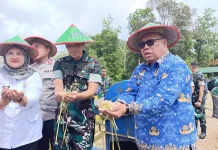 Panen Raya Yonif TP 845/Ksatria Satam Perkuat Ketahanan Pangan Beltim