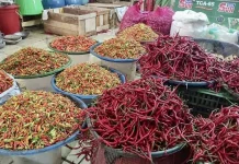 Ramadan, Harga Cabai Rawit di Pangkalpinang Masih Tinggi