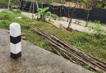 Tambang Ilegal Dekat Jalan Raya Simpang Lumut Berbahaya