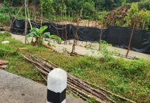 BPJN Babel Kroscek Dugaan Aktivitas Tambang Simpang Lumut