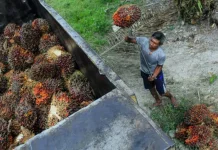 Hari Pekerja Indonesia 2026: Buruh Belitung Harapkan Kesejahteraan