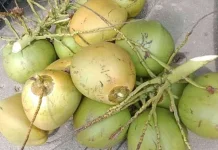 Manfaat Kelapa Muda untuk Tubuh saat Puasa