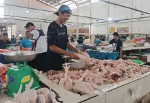 Harga Ayam Fluktuatif di Pasar Kite Sungailiat