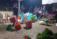 Harga Seledri Anjlok, Petani di Desa Zed Harap Ada Kenaikan