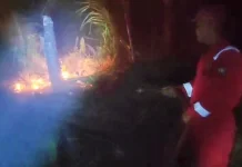 Damkar Belitung Bergerak Cepat Padamkan Lahan Terbakar di Desa Keciput