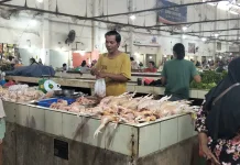 Penuhi Kebutuhan Konsumen, Ayam Pasar Kite Sungailiat Didatangkan dari Lampung