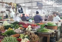Distribusi Berlapis, Harga Ayam di Bangka Sulit Ditekan
