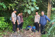 Polisi Amankan Temuan Bungkusan Diduga Narkoba di Kebun Warga