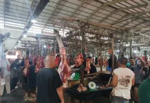 Harga Daging Sapi di Pasar Kite Sungailiat Naik