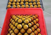 Pesanan Kue Nastar Meningkat jelang Lebaran