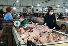 Harga Ayam Potong Pasar Sungailiat Tembus Rp50 Ribu per Kilogram H-1 Idulfitri