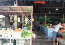 Harga Sawi Capai Rp25 Ribu Hari Kedua Idulfitri