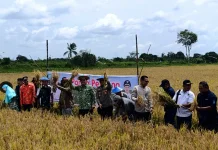 Pemkab Beltim Perkuat Pertanian Melalui Panen Perdana Agro Wisata Nujau Hijau