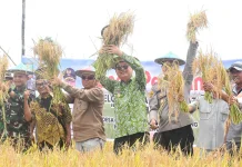 TNI dan Pemda Bersinergi Dukung Ketahanan Pangan di Beltim