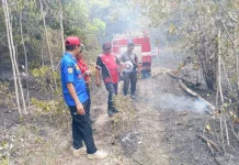 Armada Damkar Terbatas Hadapi Lonjakan hingga 7 Kejadian Kebakaran Perhari