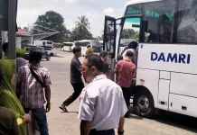 Damri Buka Rute Pangkalpinang-Lampung
