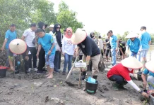 Gubernur  Pimpin Aksi Sosial dan Penanaman Mangrove di Pesisir Pantai