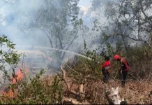 Lintas Timur hingga Pesisir Belinyu Masuk Zona Rawan Kebakaran