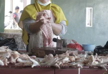 Harga Ayam Potong di Pasar Higienis Sungailiat Turun, Bagian Paha Banyak Diburu