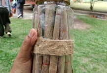 Rukok Sertong Warisan Herbal Khas Bangka Terjaga